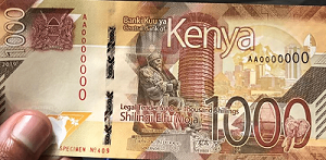 Kenyan Shilling travel money guide for Kenya