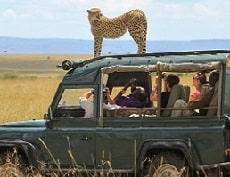 Safari-Africa africa-travel-guide