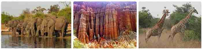 Quiçama National Park in Angola with savannah, wildlife and river landscapes