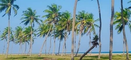 benin-Les-Merveilles-d'Afrique-beach