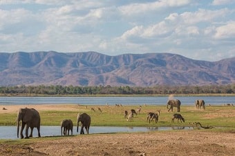 Mana-Pools-National-Park-Zimbabwe