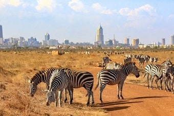 Nairobi-National-Park