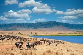 Ngorongoro-Conservation-Area