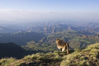 Simien-Mountains-National-Park-Ethiopia
