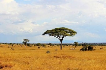 Tsavo-East-National-Park