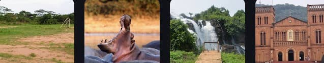 The Central African Republic is known for its natural beauty and diverse ecosystems. Historically, its attractions centered around