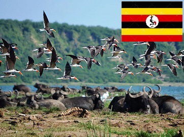 uganda-visa