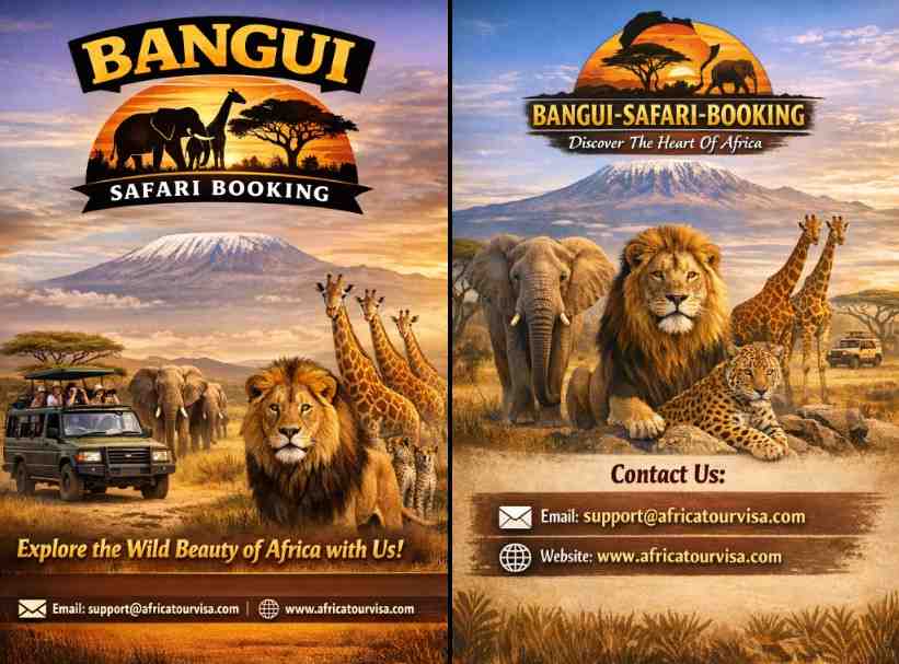 Bangui safari booking