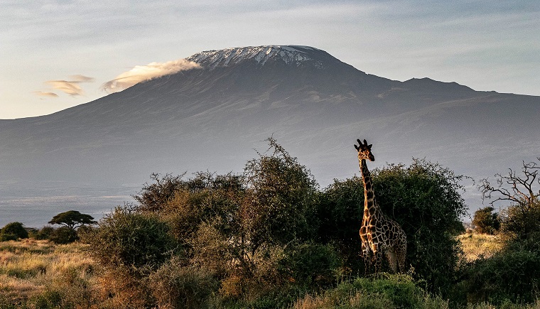 Tanzania