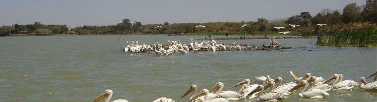 bahir-dar-lake-tana