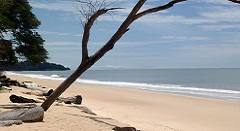Pongara Lodge