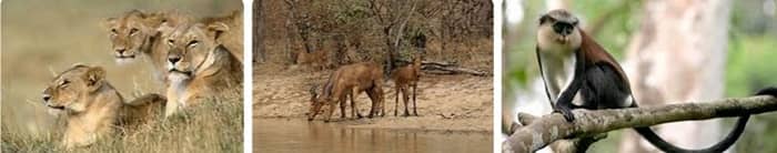 Kamuku National Park