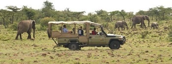 africa-safari-packages