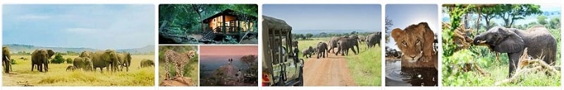 africa-tour-visa-blog