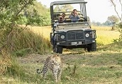 tanzania-5-days-luxury-tented-lodge-online