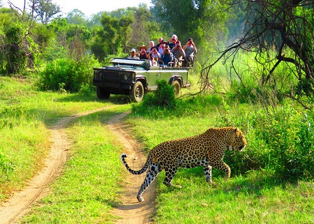 tanzania-3-days-tented-lodge-guide