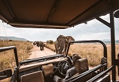 tanzania-5-days-luxury-tented-lodge-online