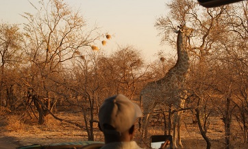 tanzania-5-days-luxury-tented-lodge