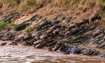 tanzania-7-days-tented-lodge