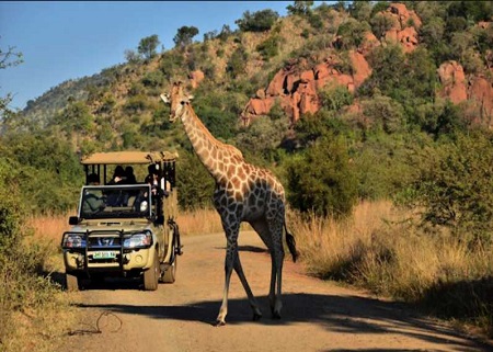 tanzania-safari-5-days-tented-lodge