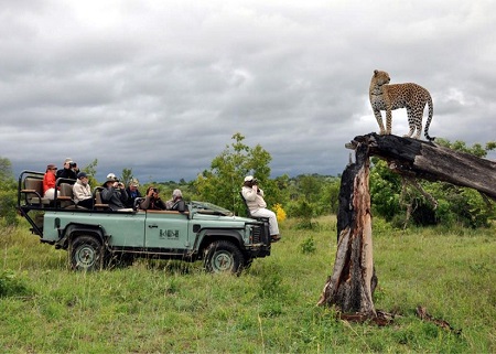 tanzania-safari-7-days-tented-lodge