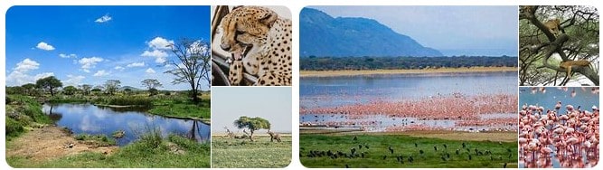 Lake Manyara National Park