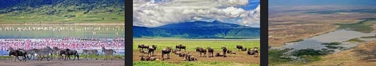 ngorongoro-national