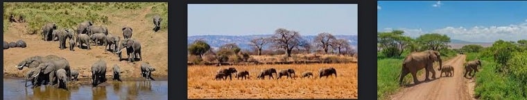 tarangire-national-park